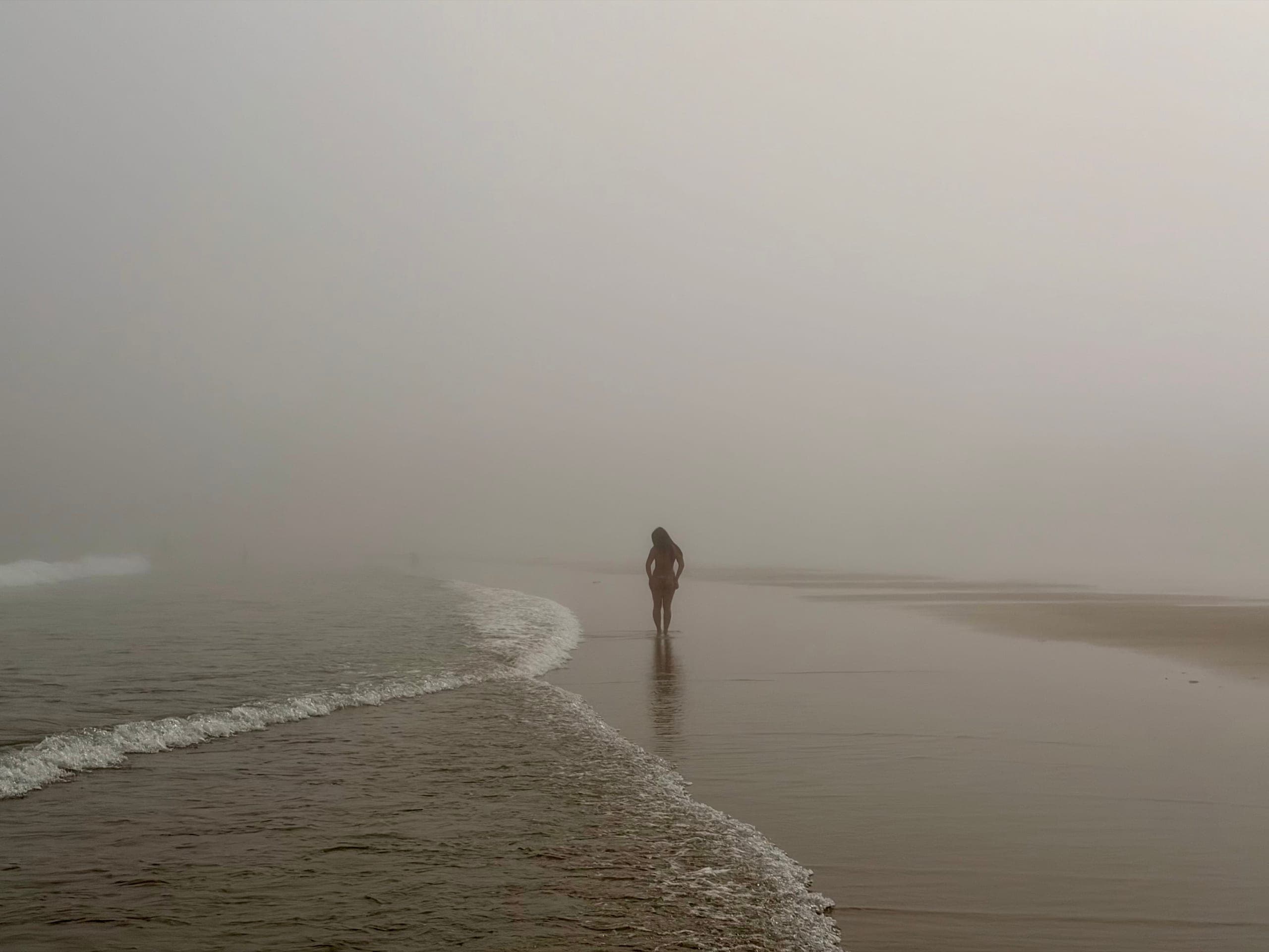 Alone in the fog — Fog on the shore