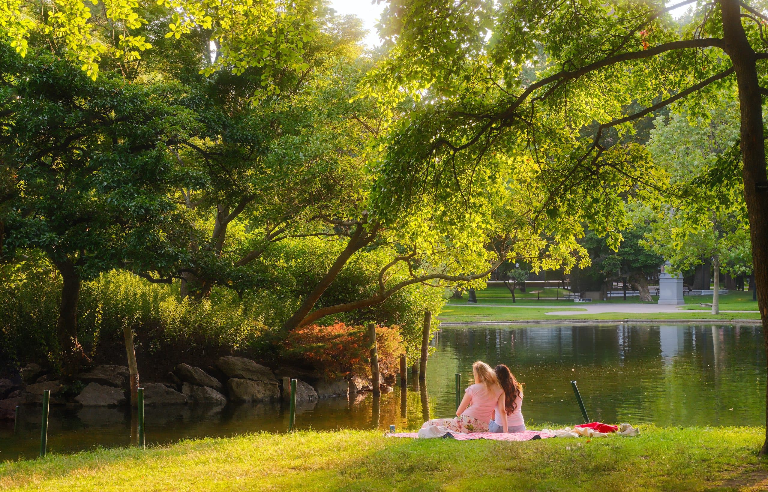 An evening picnic by the lagoon — Boston