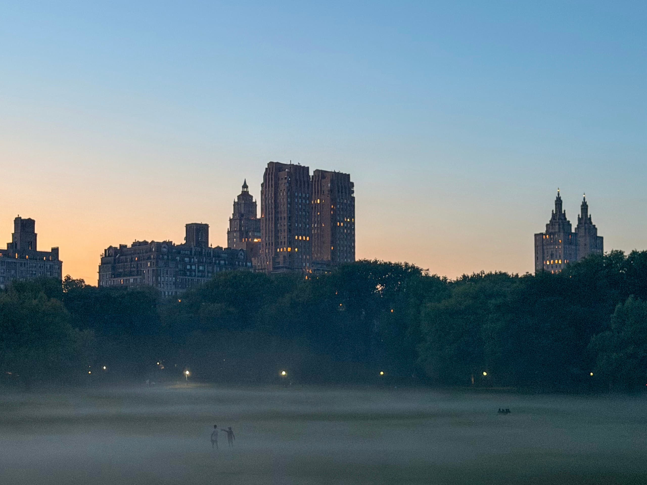 Mist on the Great Lawn — New York