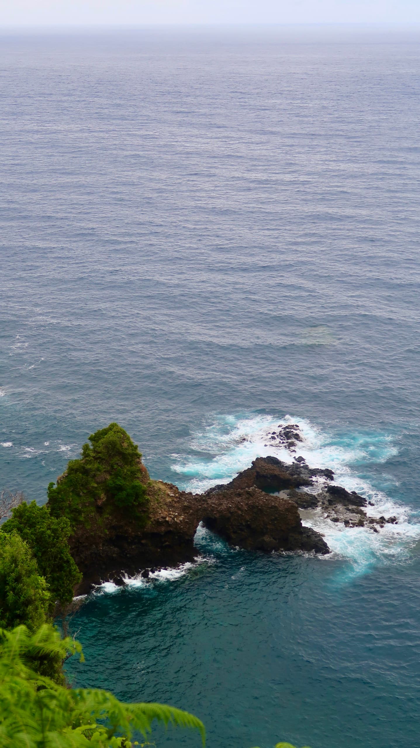 Madeira coast — Portugal & Madeira